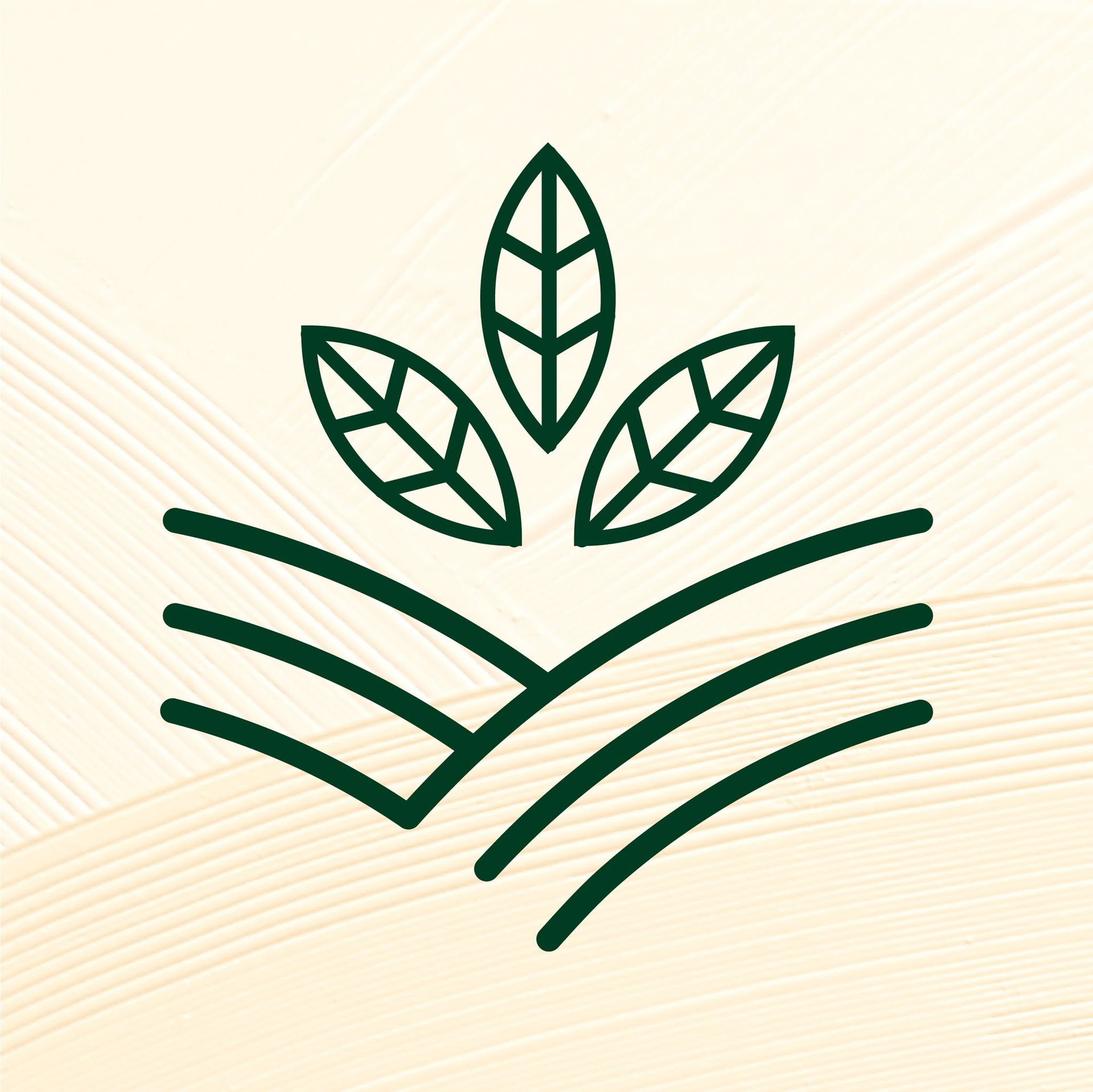 Mộc Nguyên Trà